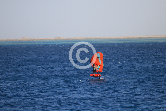 2024_11_24_Picture_001