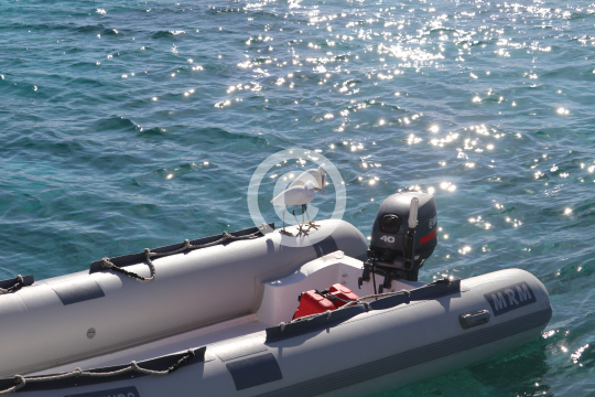 2024_12_29_Picture_007