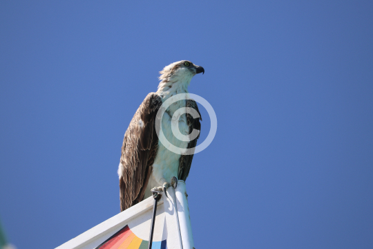 2025_05_31_Picture_001